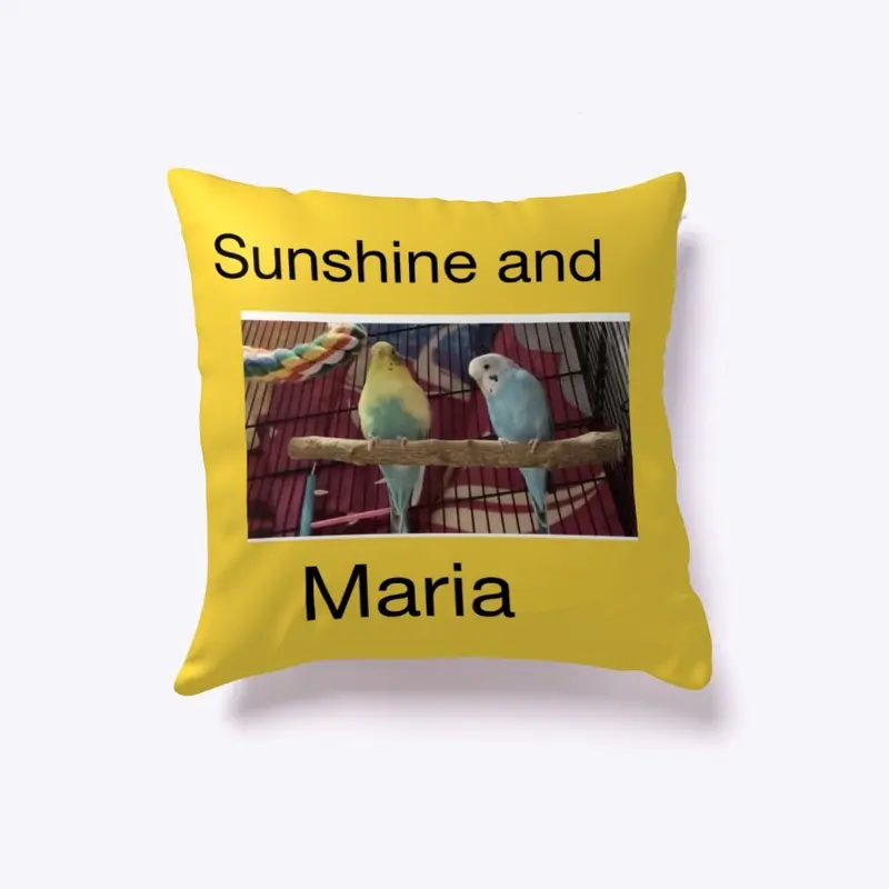 Sunshine and Maria pillow 